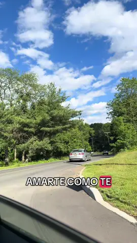 #evayllon #comounarosaroja #peru #musicaperuana #recuerdos