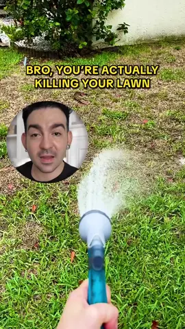 Identify plants & diseases 🔎 Get customized care plans💚 Learn how to water and fertilize your plants👩‍🌾 Connect with plant enthusiasts🌿