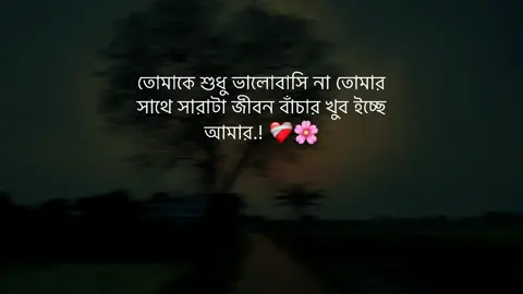 তোমাকে শুধু ভালোবাসি না তোমার সাথে সারাটা জীবন বাঁচার খুব ইচ্ছে আমার.! ❤️‍🩹🌸 #fypシ #unfreezemyacount #tiktok #status #sayhan_samir_07 