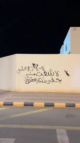 #تبوك #دينالي✈️ #تيماء 