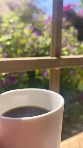 وكما قال سبنج بوب : 
