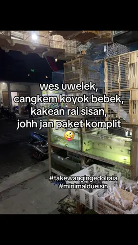 tak deleh ndek flash sale cek akeh seng tuku#fyp #lewatberanda #foryou #jowobaperan #cangkeman 