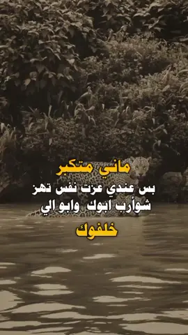 #عبارات #اكسبلورexplore #asmr #اكسبلور 