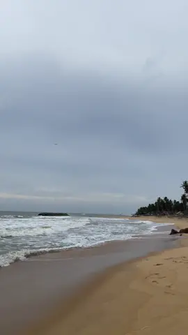 Marawila beach🫶 #travel #video #fyp #srilanka 