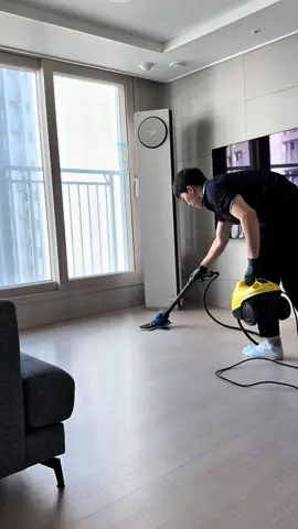 #CleanTok #sofa 
