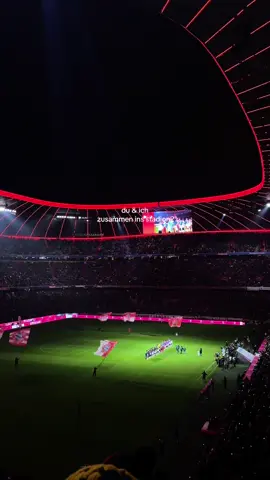 „lass ins stadion gehen“ bin dabeeeeeei ❤️‍🩹 #fcbayern#foryoupagee #südkurvemünchen #miasanmia #allianzarena@FC Bayern 
