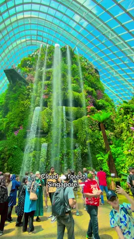 Cloud ⛅️ forest 🌳  Singapore 🇸🇬 #foryou #singapore #cloudforest 