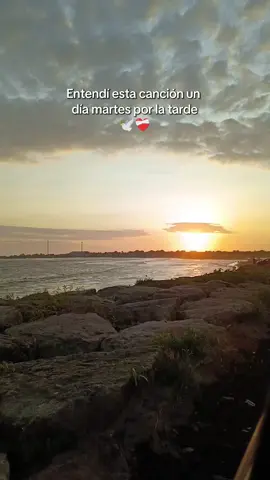 #🕊️  #porquesefueporquemurio 