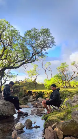 Lembahloe sejuk #lembahlohe #lembahlohe1820mdpl #pendakigunung #ftpppppppppppppppppppppppp 