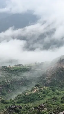 #قران_كريم #صدقه_جاريه_لجميع_اموات_المسلمين #اكسبلورexplore❥🕊 #صدقه_جاريه_لي_ولكم 