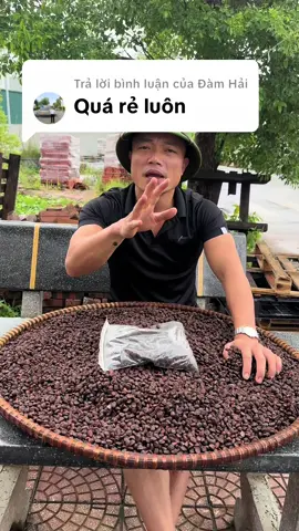 Trả lời @Đàm Hải #hatdoi #hatdoimackhen 