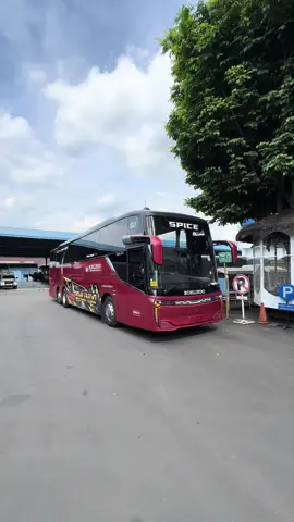 Borlindo Racing Team 🤪 #borlindo #bmj #newarmada #skylanderr25 #scania 