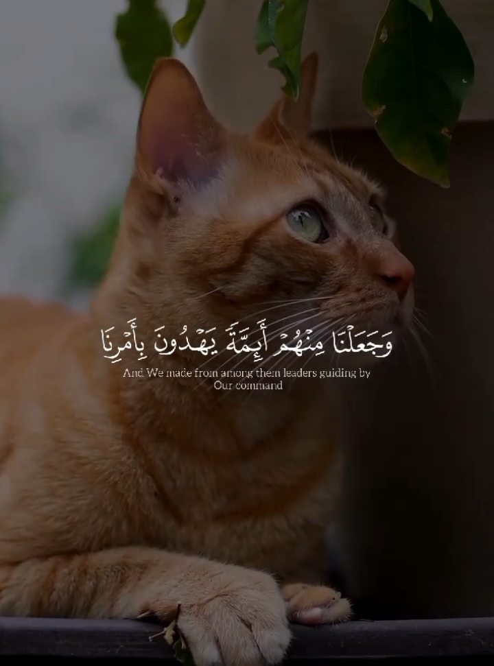 تلاوه جمــ♡♡ــيلة للقارئ عبدالرحمن مسعد حفظه الله 🍂🍁 ‌‌ْ اقرب آيه إلي قلبي  ٌ #راحه_نفسيه #عبدالرحمن_مسعد #quran #قران #fyp 