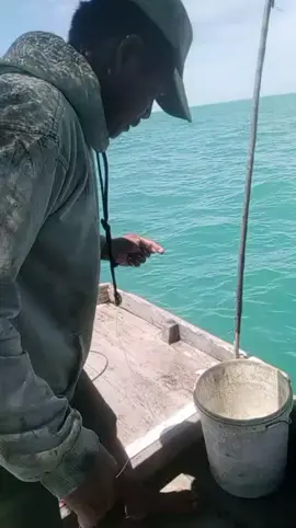 #tiktoklive #livehighlights