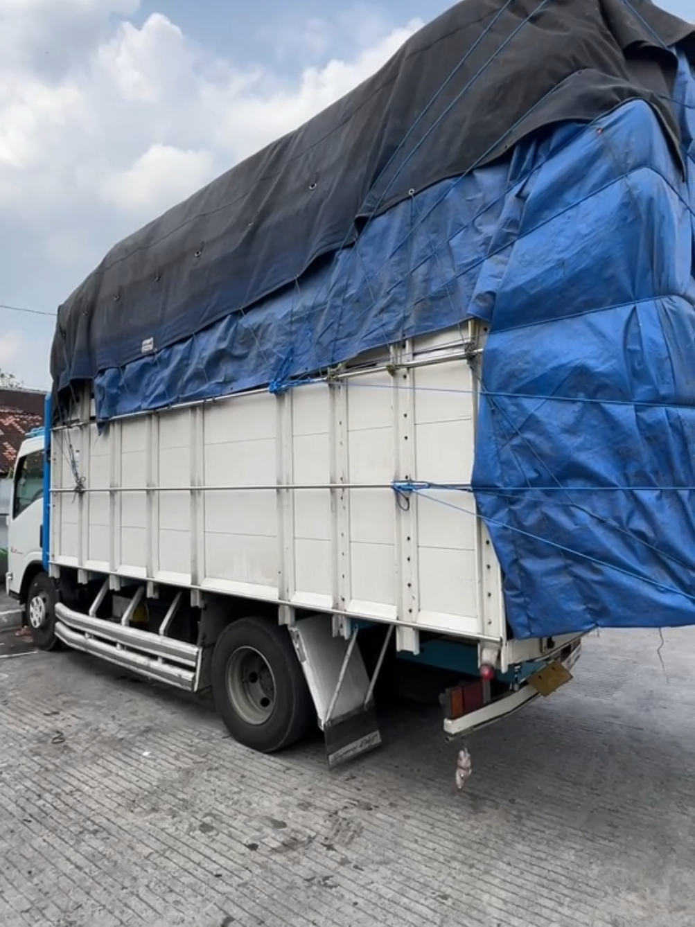 seesssz mase🤙🔥 #giga #trukmaniaindonesia #drivermuda #giganesia #fyp 