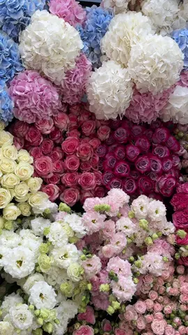 #рекомендації #tatarivflowerstore #квіти🌺🌸🏵️ #ukraine🇺🇦 #доставкаквітів            