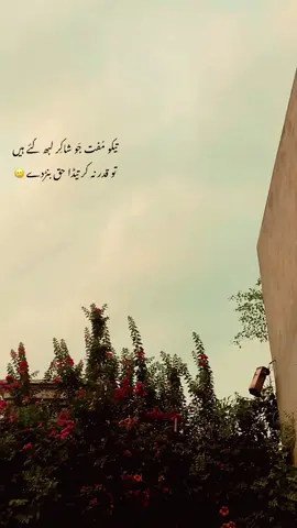 Tada haq bardy 🥹#foryou #trendingvideo #100kviews #saraikistatus #repost #fulltrending #saraikisong #1Millionviews 