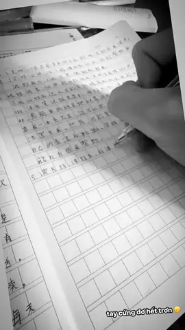 Lâu k cầm viết , viết lại tay cứng đơ 🙃#🇻🇳🇨🇳 