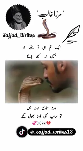 beautiful lines 🥀💔💯 #foryou #lines #viral #ghalib #grow@sajjadwrites71 