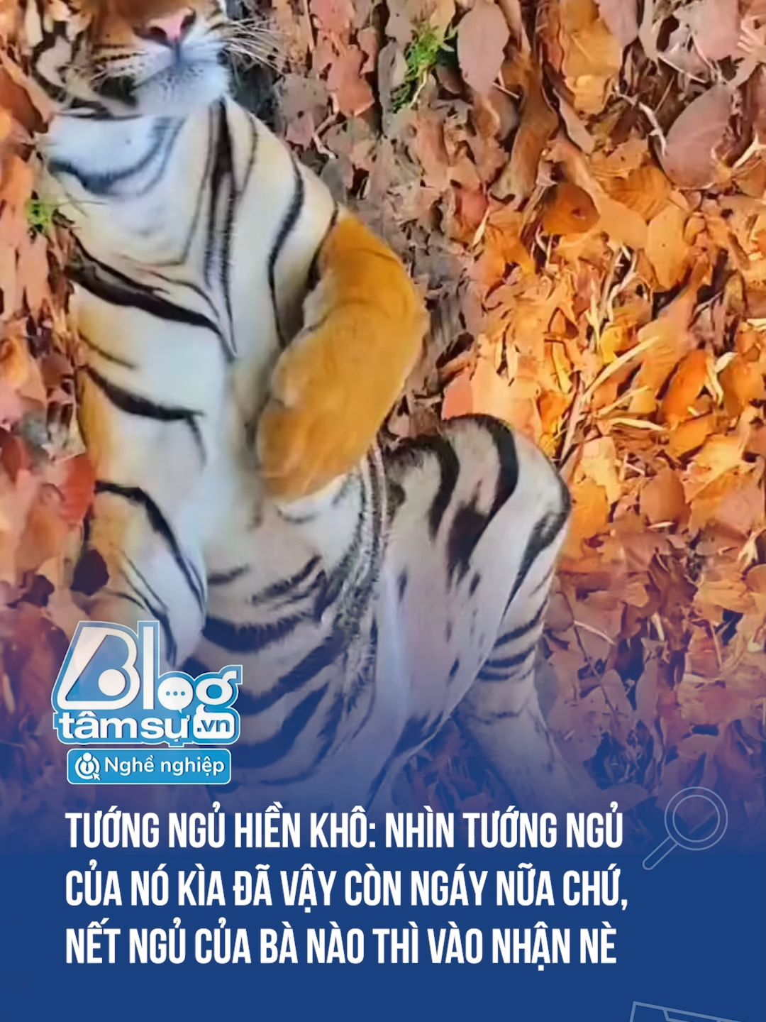 Cái chân ổng kìa 🤣🤣🤣 #discovery #blogtamsu #xuhuong #btsmedia #tiktoknews #funfact #funny #dangyeu #viral #haihuoc #ho