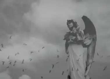 ضيعنيي#fy #fyp #ناظم_الغزالي #Sing_Oldies #اغاني 