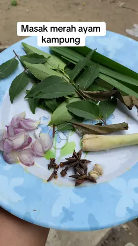 Resep Aceh masak merah ayam kampung #masakanaceh #masakanrumahan #masukberanda #xzyabca #fyp 