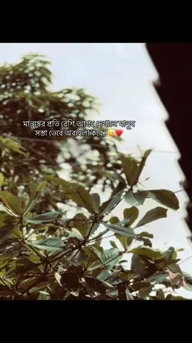 অবহেলা অনেক ভয়ংকর.!😅❤️