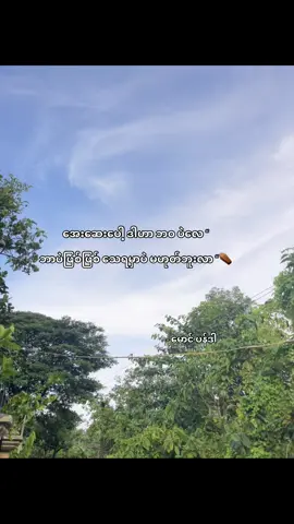 ဒါဘဝပဲလေ “🫩⚰️ … … #fyp #fypシ #fypシ゚viral #ပန်ဒါစာတို🤪 #myanmartiktok 
