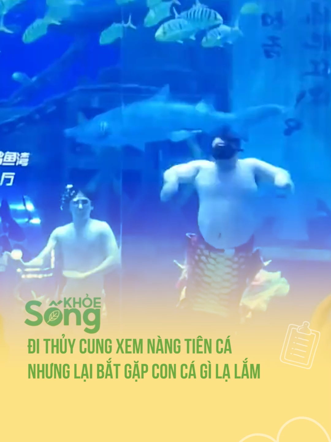 Đi thủy cung xem nàng tiên cá nhưng lại bắt gặp con cá gì lạ lắm #btsmedia #blogtamsu #xuhuong