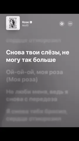 Сылка в шапке профиля 🖤 #роза #applemusic #текстпесни #spotify #футажитекста 