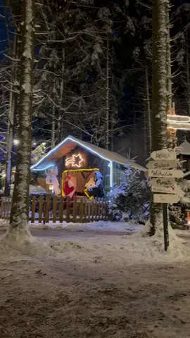 Heute, in genau 3 Monaten startet sie wieder – unsere Waldweihnacht 2025 am Baumkronenweg! 🌲❄️ 👉 Von 21. November bis 21. Dezember 👉 immer Freitag bis Sonntag – inkl. 8. Dezember Streicht euch den Termin fett im Kalender an 📅 – das wollt ihr nicht verpassen! #waldweihnacht #baumkronenweg #waldwunderwelt #innviertel #weihnachtsmarkt 