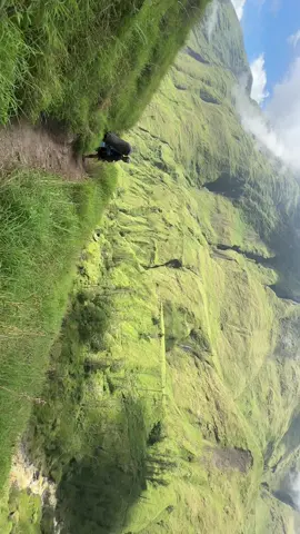 Salah satu jalur terindah yang pernah gue lewatin.🥹🥹 Ada yg tau dimana? #torean #rinjani #fyppppppppppppppppppppppp #rinjanimountain 