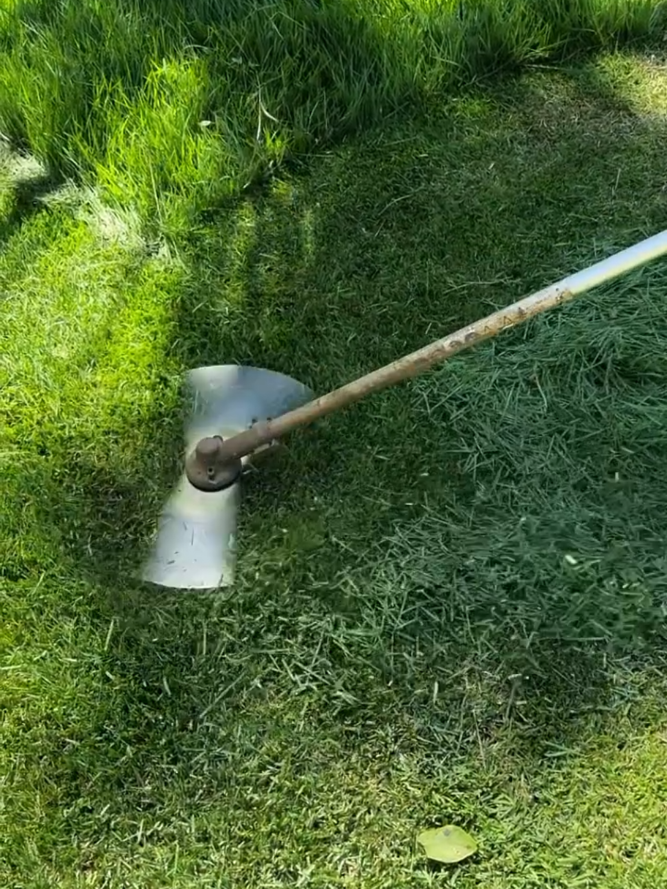 Oddly Satisfying Sensations | Mowing The Lawn Compilation ASMR | #Perfect cutt! 🍀💚  #lawntok #grasstok #gardentok #landscapersoftiktok #asmr #oddlysatisfying #Satisfying #mowing #lawn #garden #clean #CleanTok #landscape #gardening #lawncare #mowingthelawn #lawnmower #brushcutter #lawntiktok #lawnsoftiktok #lawnmowing #lawns #grasstiktok #cuttinggrass #satisfaction #spring #goviral #original #viral #viralvideos #viralvideo #viral_video #tiktok #tiktokviral #viraltiktok #viralvideotiktok #fyp #foryou #foryoupage #fypシ゚ #fypp #fyppppppppppppppppppppppp #parati #fürdich #pourtoi #paratii #paratiiiiiiiiiiiiiiiiiiiiiiiiiiiiiii #capcut #duet #loop #trend #trending #funny #checkthisout #lookatthis #creatorsearchinsights