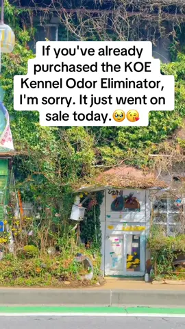 I cant begin to explain how good this stuff smell😩🫠#petodoreliminator #petodor #pets #dogmom #momof2   