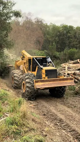 The monterous Tigercat 630D hauling Oak and Beech to me this morning!  Super production!  #skidder #tigercat #logging #harvester #machines 🌲🚜