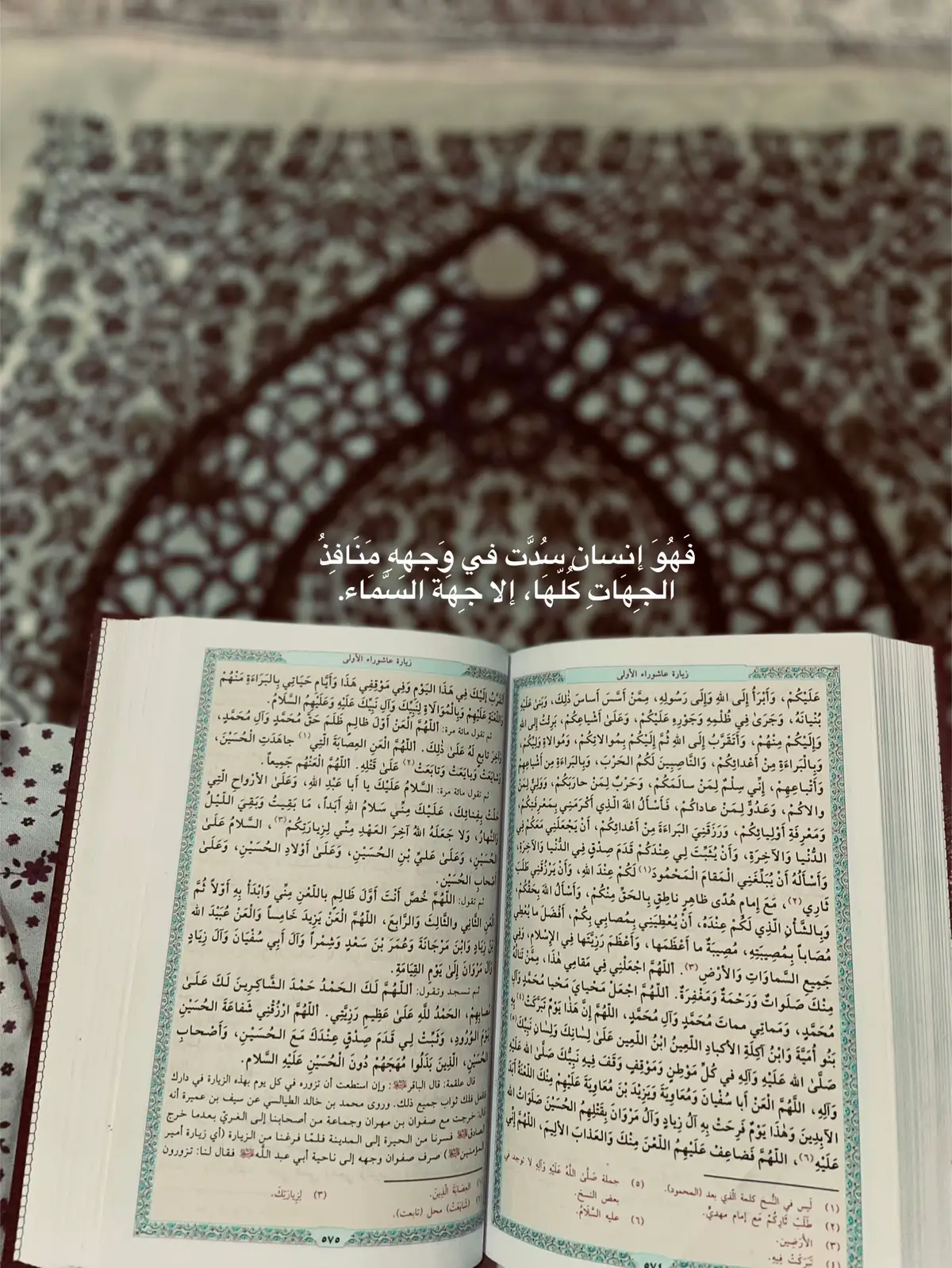 زيارة عاشوراء، تحلّ المشكلات المستعصية وتقضي الحوائج.. والأهم، تذكّرك بغاية الحياة العُظمىٰ، والرّزيّة الّتي لا تُنسىٰ، وتحذّرك من اللّعن الخالد.#خـاتونہۧ #قناتي_التلي_بلبايو_ildl8i 