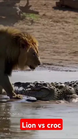 #trending #viralvideo #fyp #growmyaccount #foryou 