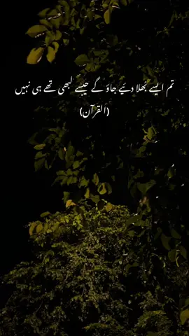 کبھی سوچا تھا کہ جن کے بغیر ایک لمحہ بھی ادھورا لگتا تھا، ایک دن ایسا آئے گا کہ اُن کا نام لینا بھی گوارا نہ ہوگا۔ وقت، رویے، اور زخم انسان کو بدل دیتے ہیں۔ تعلق جب دل توڑنے لگیں، تو یادیں بھی بوجھ بن جاتی ہیں۔ اور پھر ایک وقت آتا ہے جب وہی شخص، جس کے لیے دل تڑپتا تھا، دل سے ایسے نکلتا ہے جیسے کبھی تھا ہی نہیں۔ یہ بھلا دینا آسان نہیں ہوتا، مگر ضروری ہوتا ہے۔ خود کو سنوارنے، خود کو پانے، اور سکون کی طرف بڑھنے کے لیے۔ یاد رکھو، ہر وہ شخص جو تمہیں تکلیف دے، ایک دن تمہارے ذہن سے، دل سے اور زندگی سے ایسے مٹ جائے گا جیسے کبھی اُس کا وجود تھا ہی نہیں۔ #foryou #urdupoetry #sadpoetry #urdushyari #fyp 