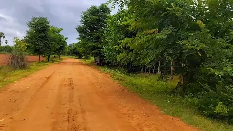 ရွာကိုလွမ်းလို့ ရိုက်ပြီးတင်ထားတဲ့အကိုစီကနေခွင့်တောင်းပြီးတင်လိုက်ပြီဗျာ သဘာဝအလှတွေကိုရိုက်ကူးတင်ဆက်နေတဲ့ကျနော့်အကိုကြီးကိုလဲအားပေးကြပါအုံး🥰🥰 @zinmyohtun7955  #အဝေးရောက်နေသူများအတွက် #တောသားလေးပါဗျာ 