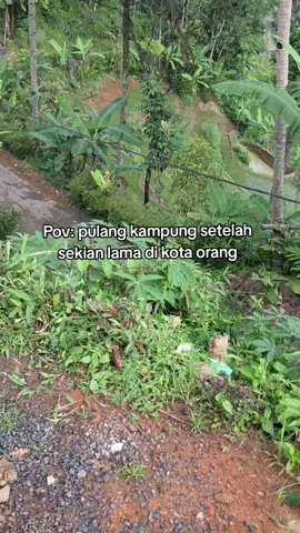 TASIKMALAYA 🤍 