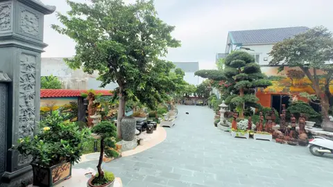 Buổi chiều yên bình bên hiên nhà nhỏ ...#😻⛩️❤️❤️❤️ #xu_huong_tiktok 