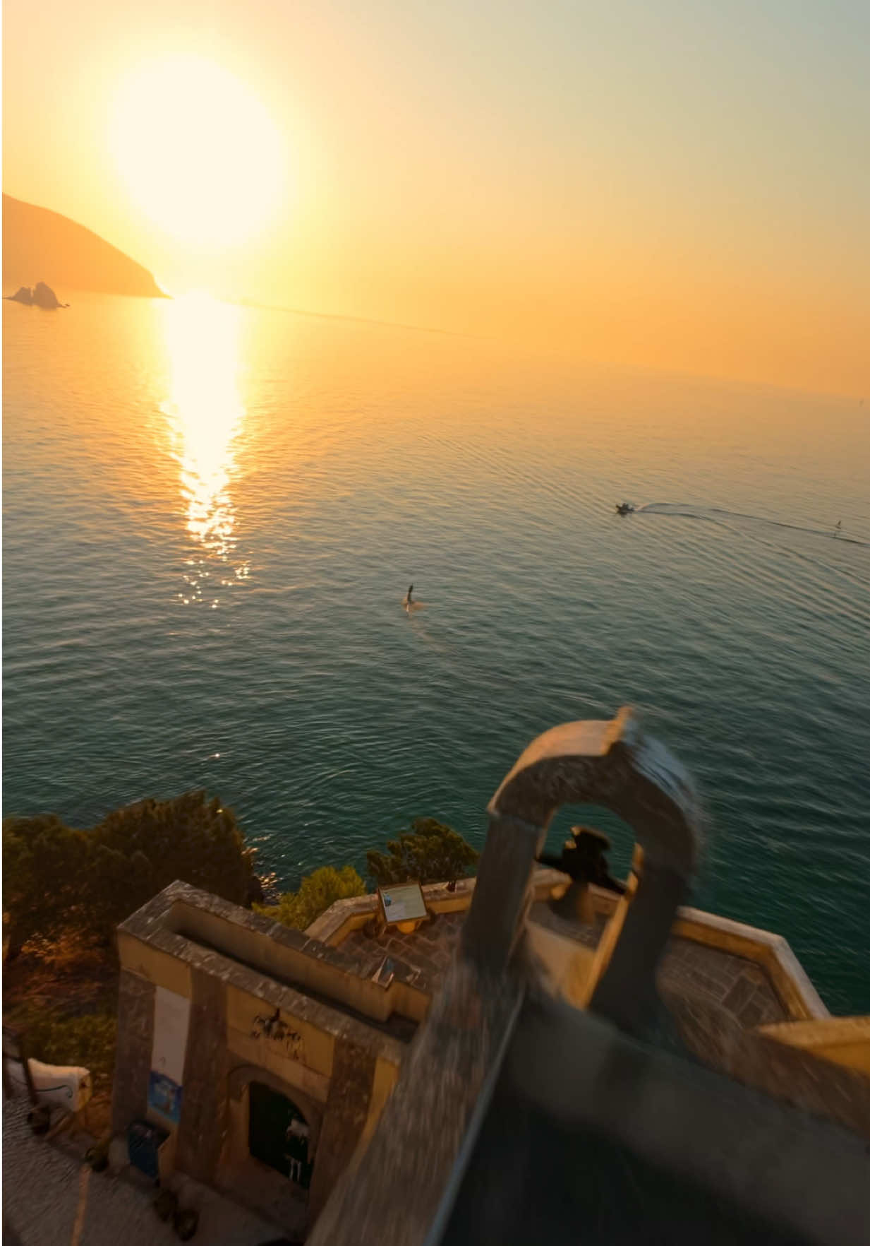 This is my freedom 🕊️