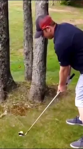 Full range of transport refrigeration units #tiktok#refrigerationunits#refrigerationtransport#vehicleunits#commercialrefrigeration 