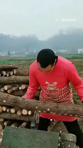 Menanam jamur shitake #shitake #serunyabelajar #fyp 