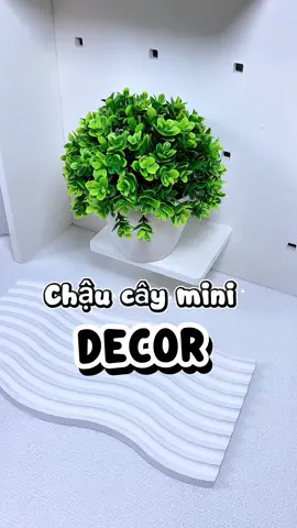 Chậu cây mini decor #chaucaymini #chaucayxinh #chaucaynhua #caynhua  @Mẹ Pon 60  @Mẹ Pon 60  @Mẹ Pon 60 