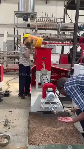 LM90 400KGH type  Floating  fish  feed pellet making machine #fishfeedmachine #fishfarming