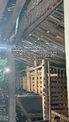 #pemulabarubelajar #peternakmuda #peternakmilenial #mburiomahofficial #fypシ゚viral 