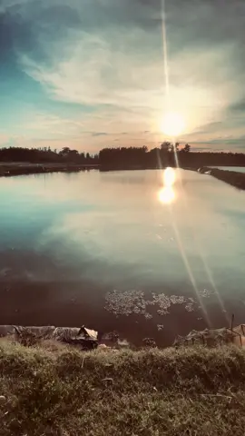 tìm lại hạnh phúc khó lắm...#viral #chill #tym #tìnhyêu #xhhhhhhhhhhhhhhhhhhhhhhhhhhhhh #❤️‍🩹