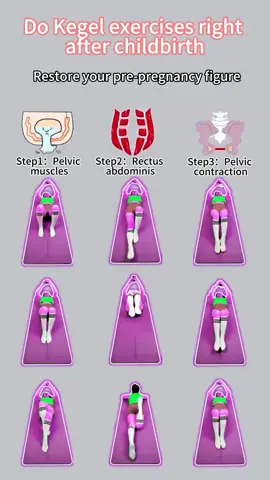 Stealth Office Workout｜Seated Pelvic Power #kegelexercise #femalefitness #corerecovery #fitnesstips #homeworkout 