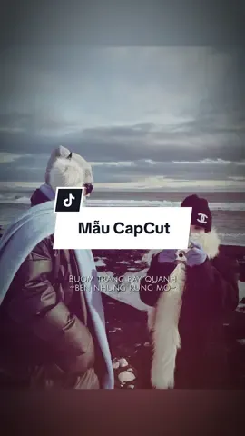 #CapCut Gặp Nhau Giữa Rừng Mơ Remix...#capcut #capcutpioneer #pioneertemplate 